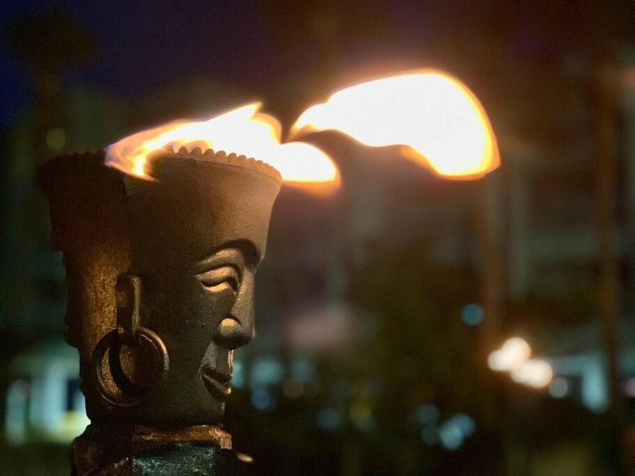 Tropical Serenity-Water View Heated Pool Tiki Bar Tampa Ngoại thất bức ảnh
